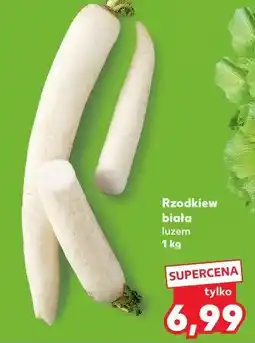 Kaufland Rzodkiewka biała oferta