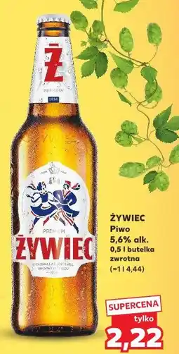 Kaufland Piwo Żywiec Jasne Pełne oferta