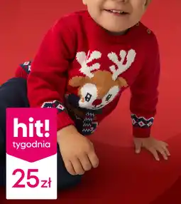 Pepco Sweter dziecięcy oferta