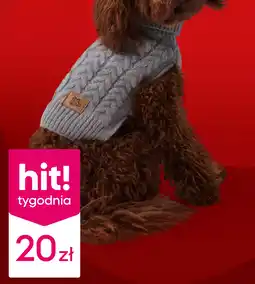Pepco Sweter dla psa oferta