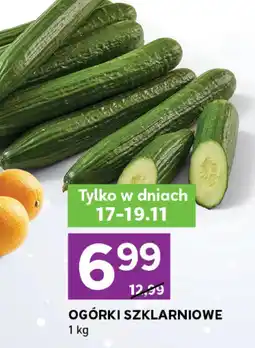 Stokrotka Express Ogórki oferta