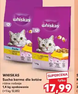 Kaufland WHISKAS Sucha karma dla kotów oferta