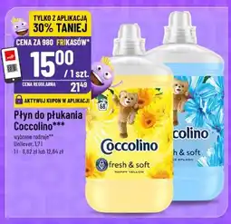 Polomarket Coccolino Płyn do płukania oferta