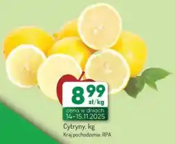 Avita Cytryny oferta