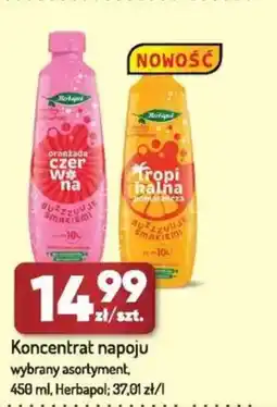 Avita Koncentrat napoju Herbapol oferta