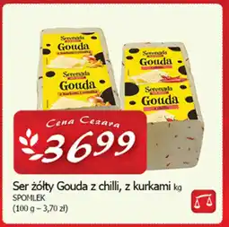 Cezar Delikatesy Ser żółty gouda z chilli, z kurkami spomlek oferta