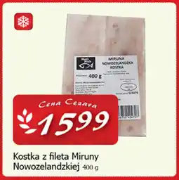 Cezar Delikatesy Kostka z fileta miruny nowozelandzkiej oferta