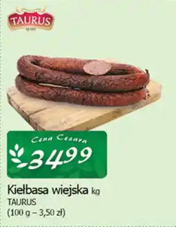 Cezar Delikatesy Kiełbasa wiejska taurus oferta