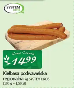 Cezar Delikatesy Kiełbasa podwawelska regionalna system drob oferta