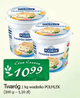 Cezar Delikatesy Twaróg polmlek oferta