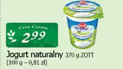 Cezar Delikatesy Jogurt naturalny zott oferta