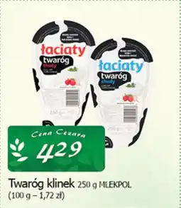 Cezar Delikatesy Twaróg klinek mlekpol oferta