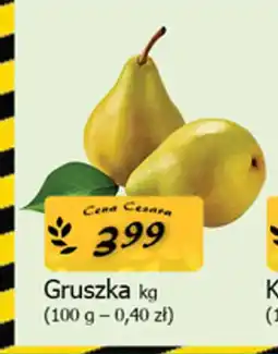 Cezar Delikatesy Gruszka oferta