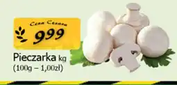 Cezar Delikatesy Pieczarka oferta