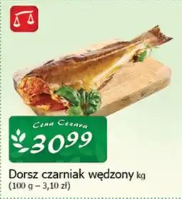 Cezar Delikatesy Dorsz czarniak wędzony oferta