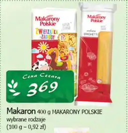 Cezar Delikatesy Makaron makarony polskie oferta
