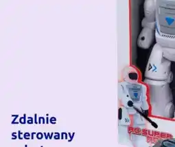 Action Zdalnie sterowany robot oferta