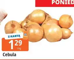 E.Leclerc Cebula żółta oferta