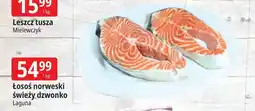 E.Leclerc Łosoś dzwonki Laguna oferta