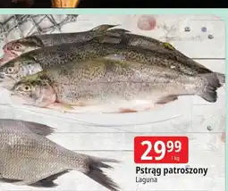 E.Leclerc Pstrąg patroszony Laguna oferta