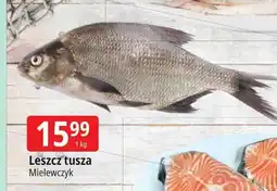 E.Leclerc Leszcz tusza Mielewczyk oferta