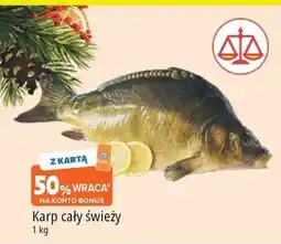 E.Leclerc Karp świeży oferta