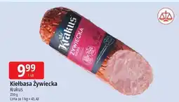 E.Leclerc Kiełbasa żywiecka Krakus Animex oferta
