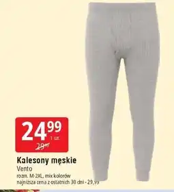 E.Leclerc Kalesony męskie m-xxl Vento oferta