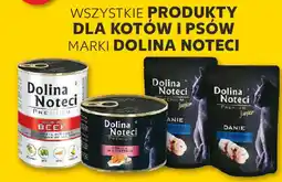 Kaufland Wszystkie produkty dla kotów i psów marki dolina noteci oferta