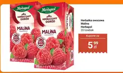 Biedronka Herbatka owocowa Malina Herbapol 20 torebek oferta