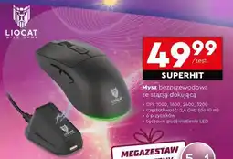 Biedronka Mysz bezprzewodowa ze stacją dokującą oferta