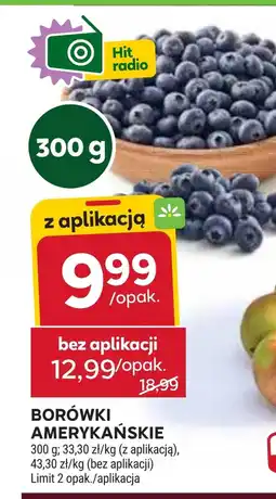 Stokrotka Borówki amerykańskie Hit oferta