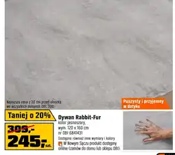 OBI Dywan OnLine oferta