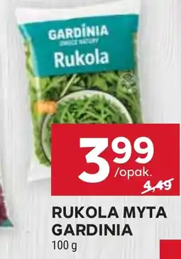 Stokrotka Rukola Gardinia oferta
