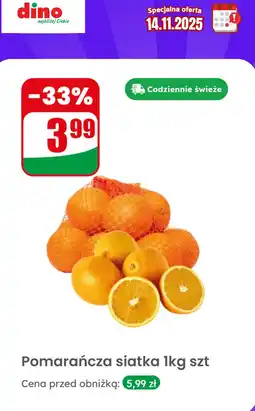 Dino Pomarańcza siatka Dino oferta