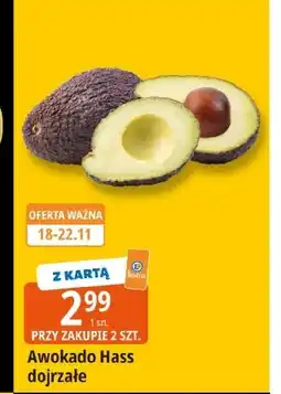 E.Leclerc Awokado oferta