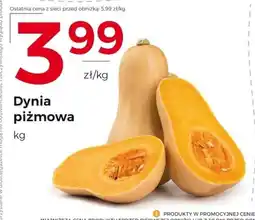 Frac Dynia piżmowa oferta