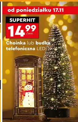 Biedronka Choinka oferta