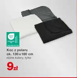 KiK Koc z polaru oferta