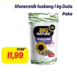Hale Banacha Słonecznik łuskany Big Nature oferta