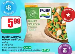 Dino Bukiet warzyw Frosta oferta