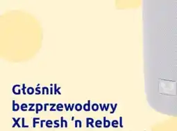 Action Głośnik bezprzewodowy oferta