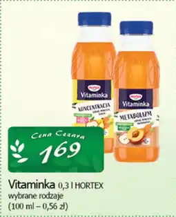 Cezar Delikatesy Vitaminka hortex oferta