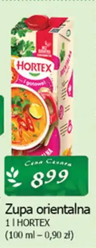 Cezar Delikatesy Zupa orientalna vitaminka hortex oferta
