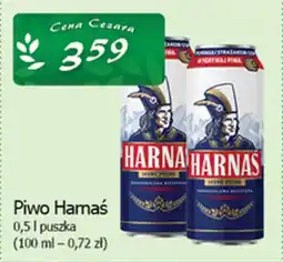 Cezar Delikatesy Piwo Harnaś oferta