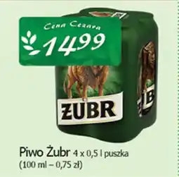 Cezar Delikatesy Piwo Żubr oferta