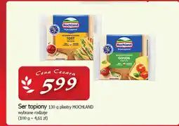 Cezar Delikatesy Ser topiony plastry hochland oferta