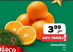 Netto Pomarańcza Netto oferta