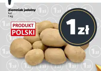 Netto Ziemniak jadalny Netto oferta