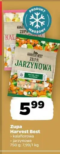 Netto Zupa Harvest Best kalafiorowa jarzynowa oferta